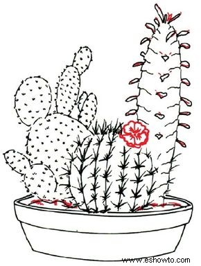 Cómo dibujar un cactus en 7 pasos 