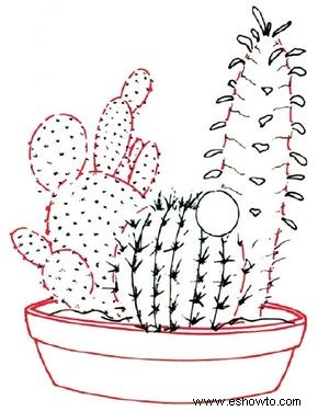 Cómo dibujar un cactus en 7 pasos 