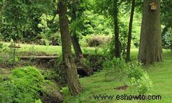 10 consejos para dar un paseo por la naturaleza en su patio trasero 