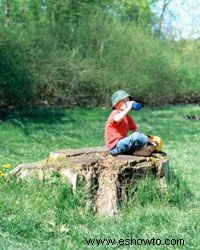 10 consejos para dar un paseo por la naturaleza en su patio trasero 