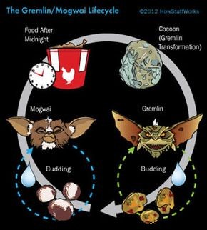 Cómo funcionan Mogwai y Gremlins 