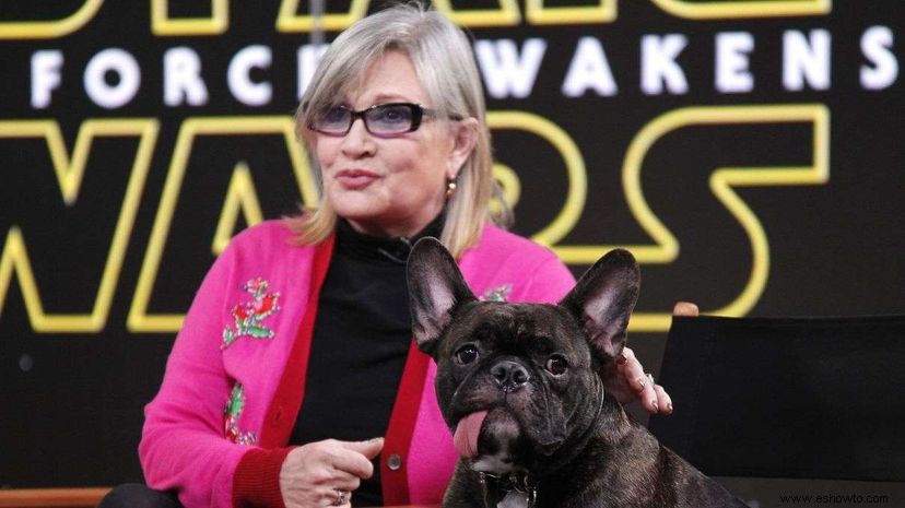 5 veces que Carrie Fisher nos deleitó promocionando  Star Wars:The Force Awakens  