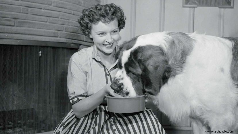 Un tributo a Betty White, pionera de la televisión 