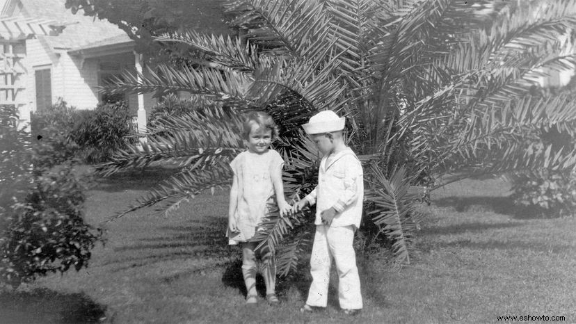 Robert el Muñeco:¿Pesadilla Seria o Juguete de Niño Inocente? 