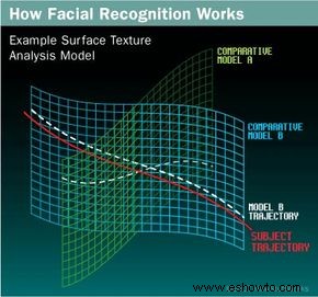 Cómo funcionan los sistemas de reconocimiento facial 