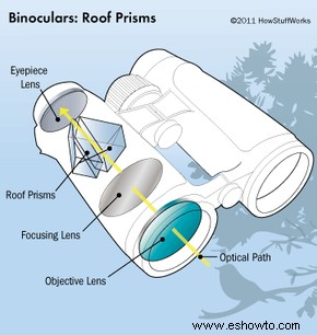 Guía de compra de binoculares 
