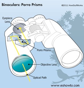 Guía de compra de binoculares 