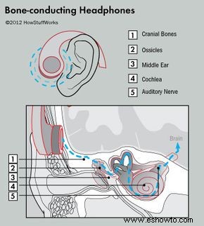 Cómo funcionan los auriculares de conducción ósea 