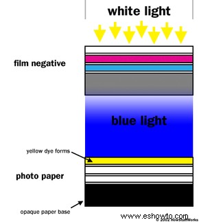 Cómo funciona la película fotográfica 