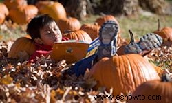 10 ideas de fotografía de otoño 