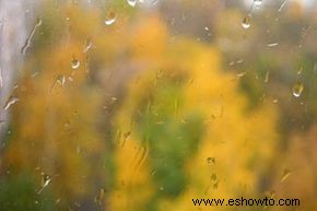 Cómo capturar la lluvia en la fotografía 