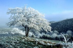 Cómo capturar escenas de invierno en fotografía 