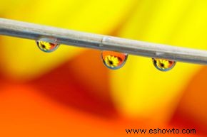 Cómo hacer fotografía de gotas de lluvia 