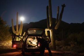 Cómo tomar buenas fotos de noche 