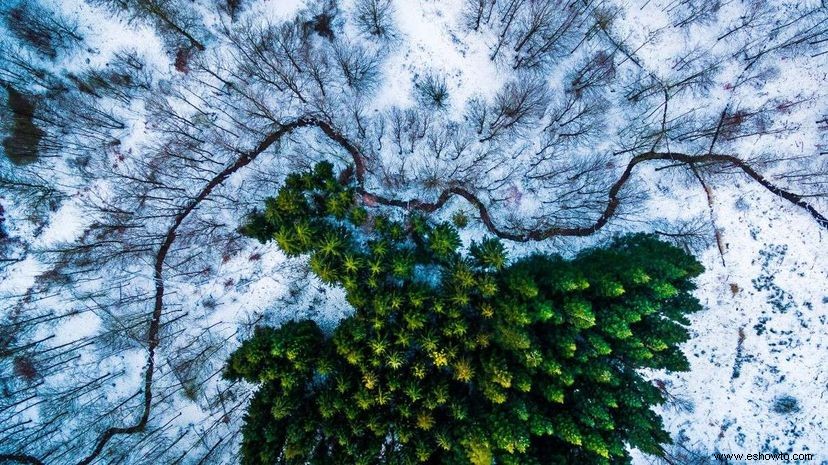 Impresionantes imágenes ganan el concurso internacional de fotografía con drones 2016 