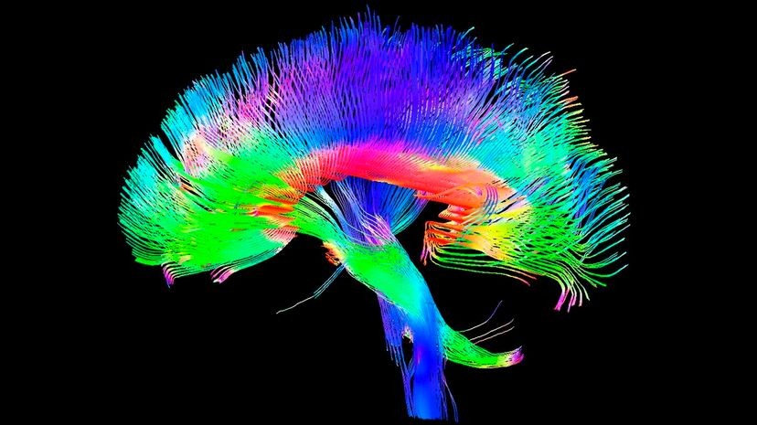 Las ondas cerebrales y la identificación emocional podrían reemplazar las contraseñas y los PIN 