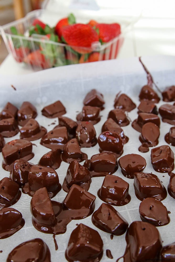 Receta de bocados de fresa y chocolate congelados 