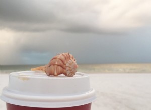 Disfrutando el  Tiempo de la Isla  en Marco Island Marriott: Relax y Vacaciones