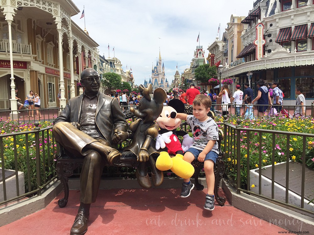 Resumen de vacaciones en Orlando Parte 2:Disney World (Magic Kingdom y Hollywood Studios) 