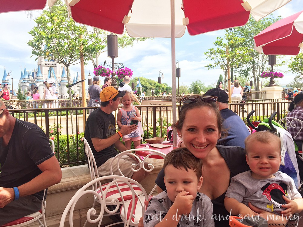 Resumen de vacaciones en Orlando Parte 2:Disney World (Magic Kingdom y Hollywood Studios) 