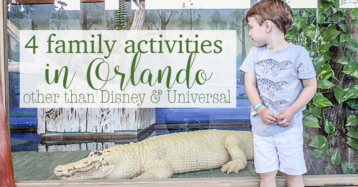 4 actividades familiares en Orlando que no son de Disney o Universal 