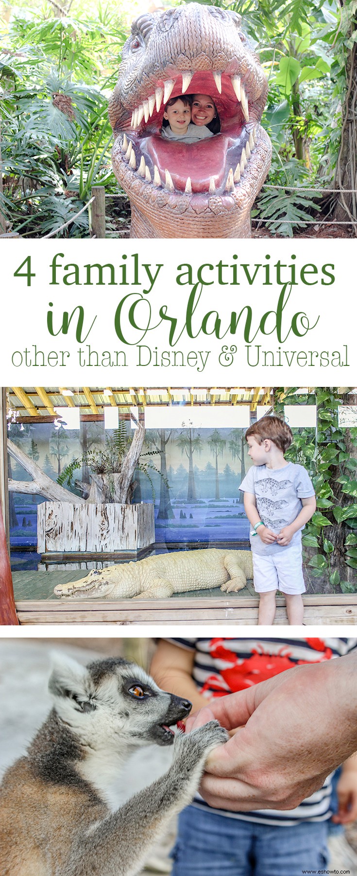 4 actividades familiares en Orlando que no son de Disney o Universal 
