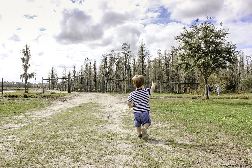 4 actividades familiares en Orlando que no son de Disney o Universal 