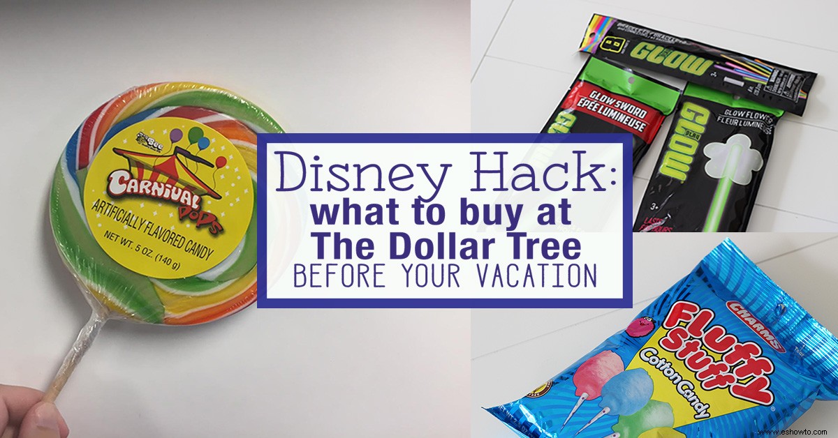 Disney Hack:Qué comprar en The Dollar Tree antes de tu viaje 