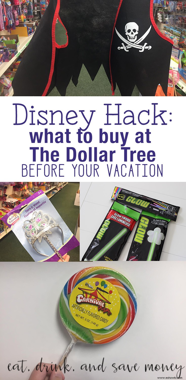 Disney Hack:Qué comprar en The Dollar Tree antes de tu viaje 