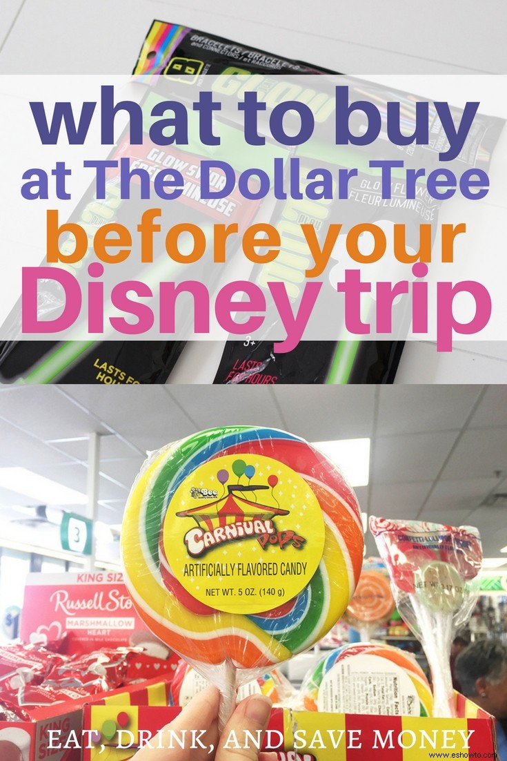 Disney Hack:Qué comprar en The Dollar Tree antes de tu viaje 