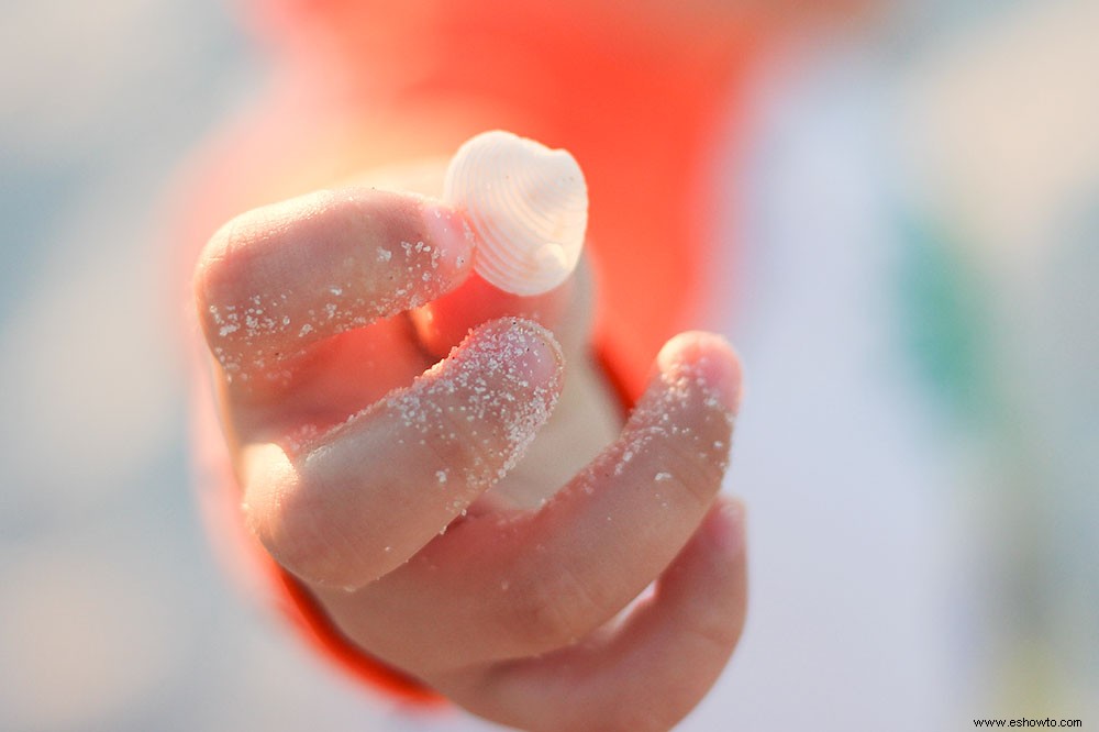 7 actividades asequibles para hacer con niños en sus vacaciones familiares en la playa en Sarasota, FL 