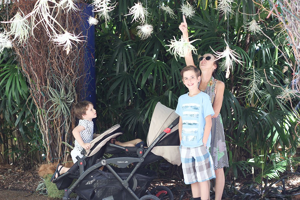 7 actividades asequibles para hacer con niños en sus vacaciones familiares en la playa en Sarasota, FL 