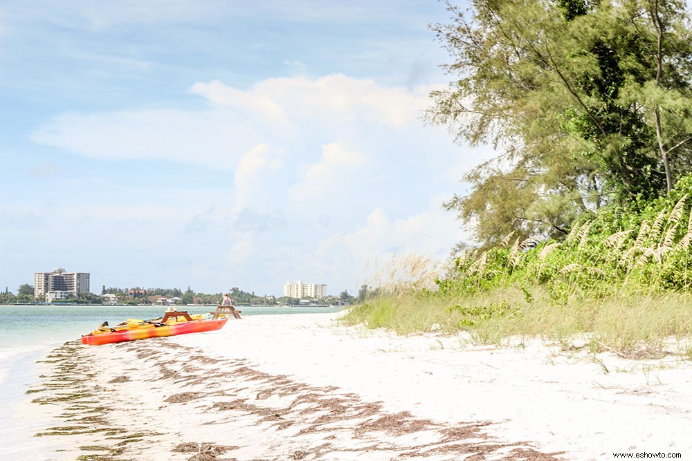 7 actividades asequibles para hacer con niños en sus vacaciones familiares en la playa en Sarasota, FL 