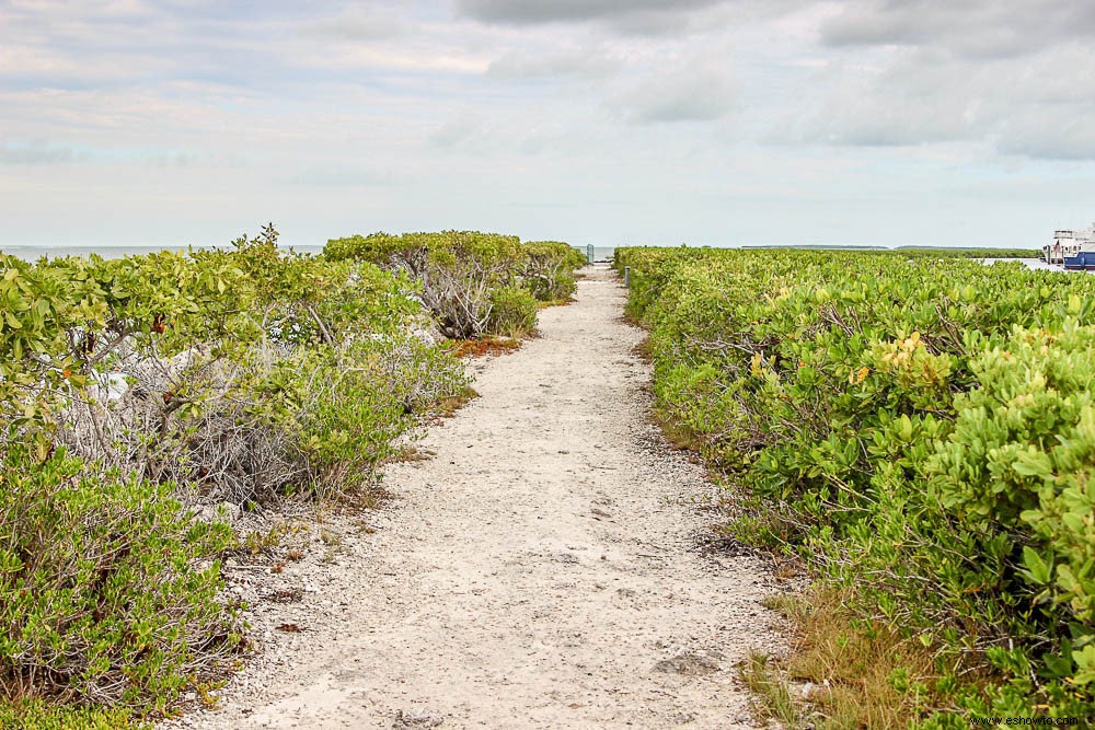 48 horas de diversión familiar asequible en The Upper Keys 