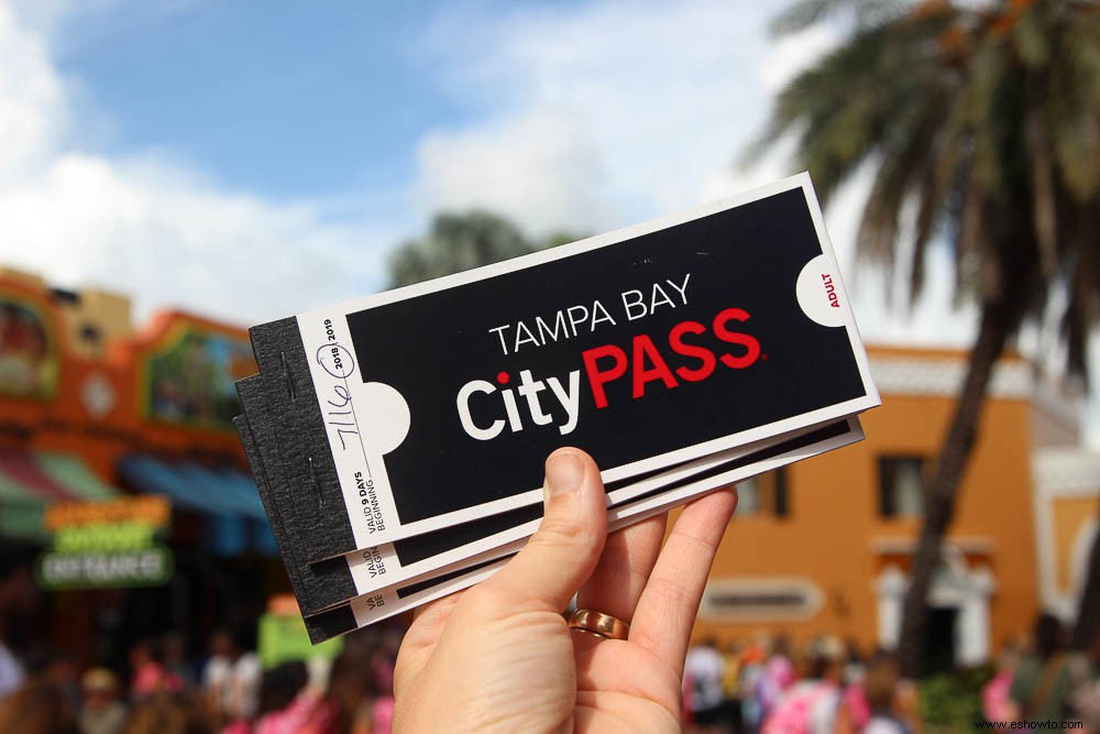 Tampa CityPASS:ahorre dinero en actividades familiares en Tampa 