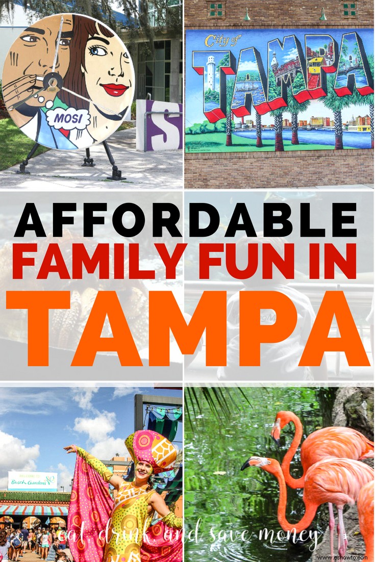 Tampa CityPASS:ahorre dinero en actividades familiares en Tampa 