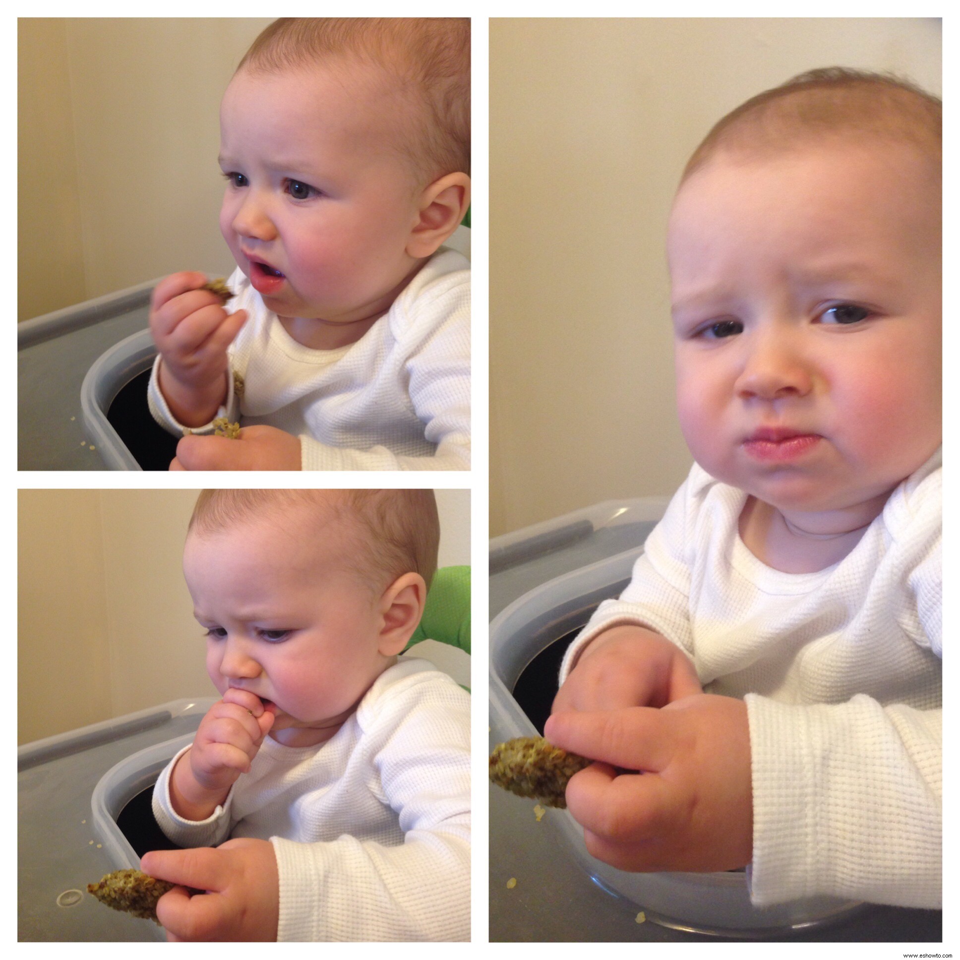 Baby Led Weaning- Quinoa Cakes 