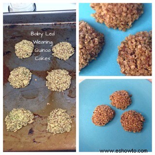 Baby Led Weaning- Quinoa Cakes 