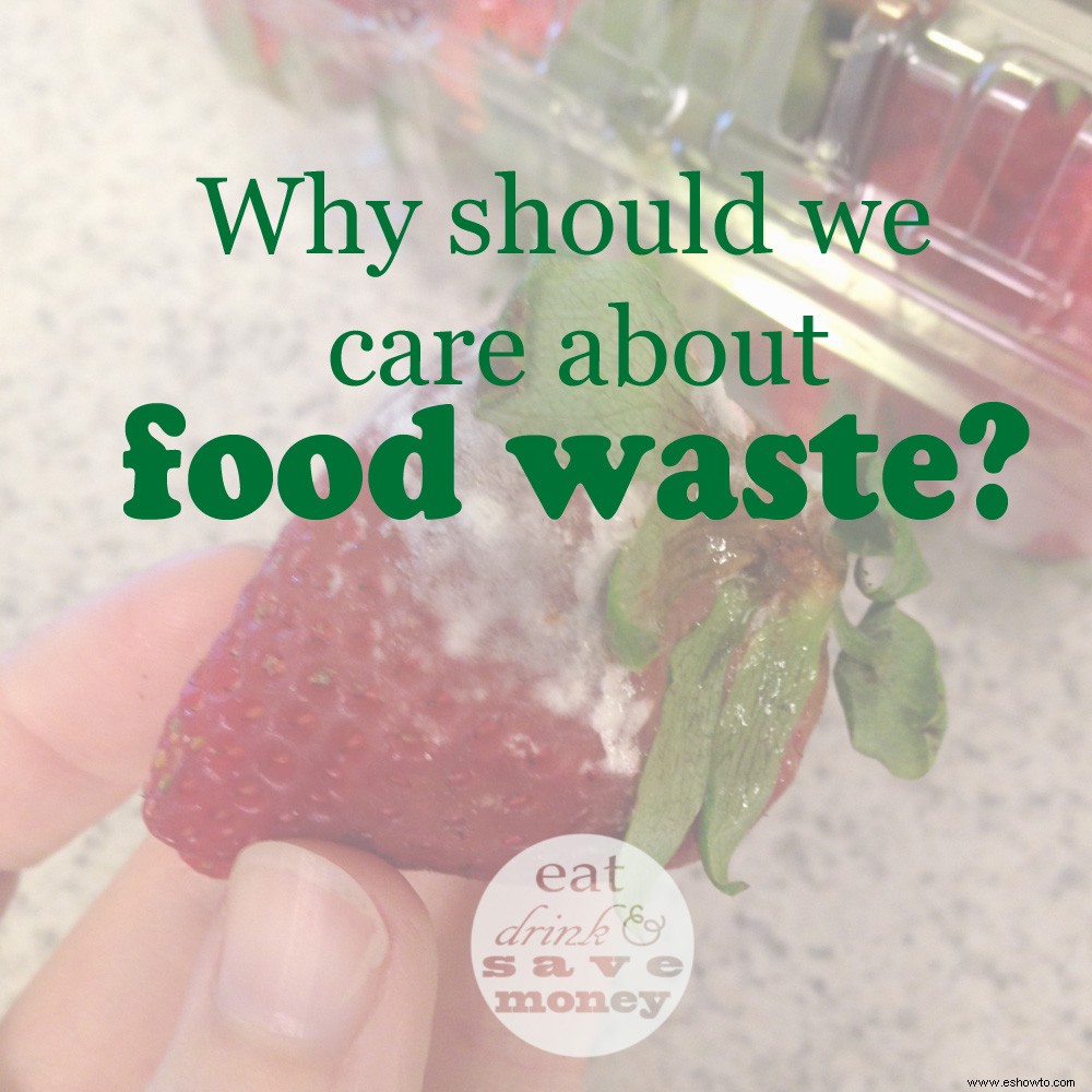 Un recordatorio de por qué nos preocupamos por el desperdicio de alimentos 
