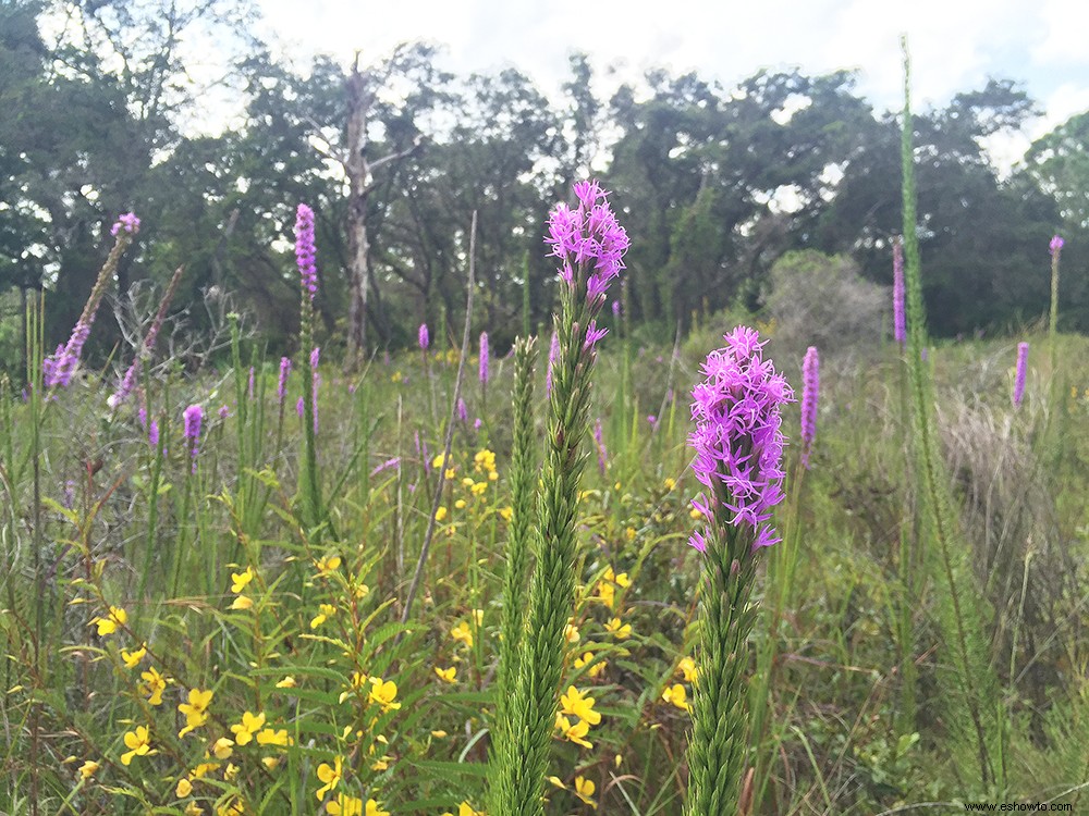 Resumen de la semana:naturaleza, gastos y preparación para huracanes 