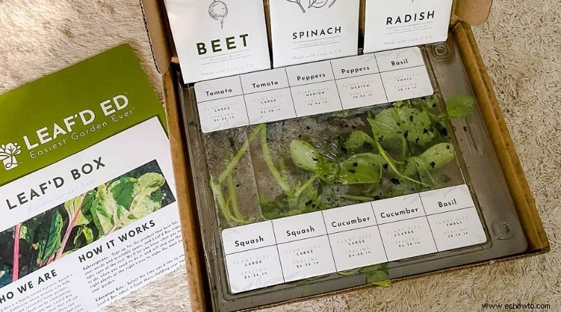 Revisión del kit educativo de Leaf d Box - Caja de suscripción de jardín 