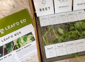 Revisión del kit educativo de Leaf d Box - Caja de suscripción de jardín 