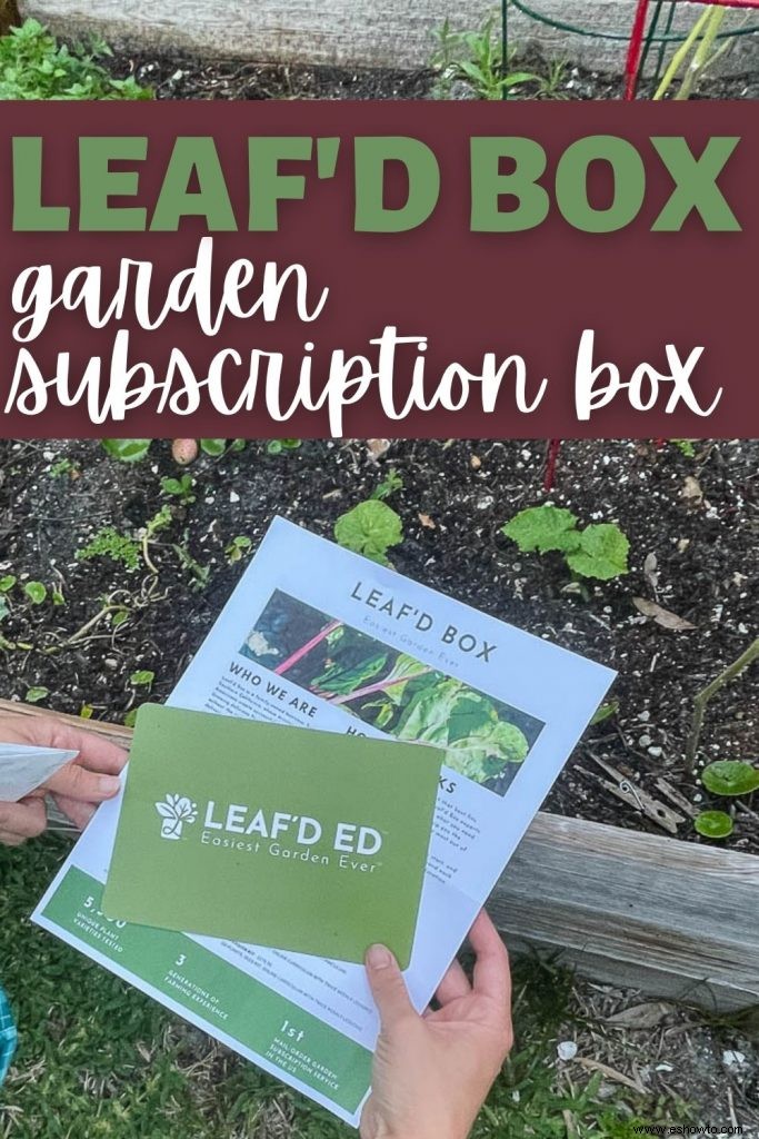 Revisión del kit educativo de Leaf d Box - Caja de suscripción de jardín 