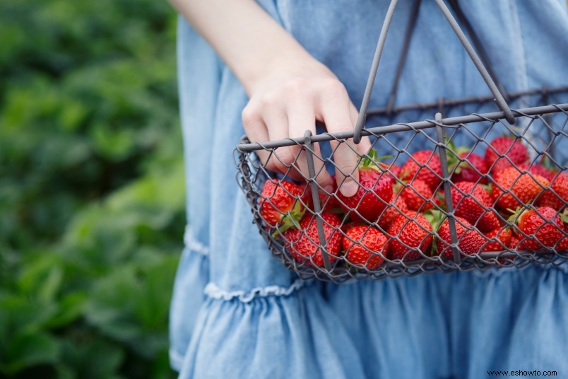 6 frutas que aumentan la energía, reducen la cintura, mejoran el sueño y más 