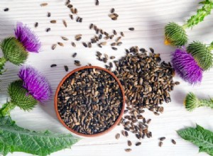 Cardo Mariano: Cómo Mejora la Función Cerebral y Ayuda a Regular el Azúcar en Sangre