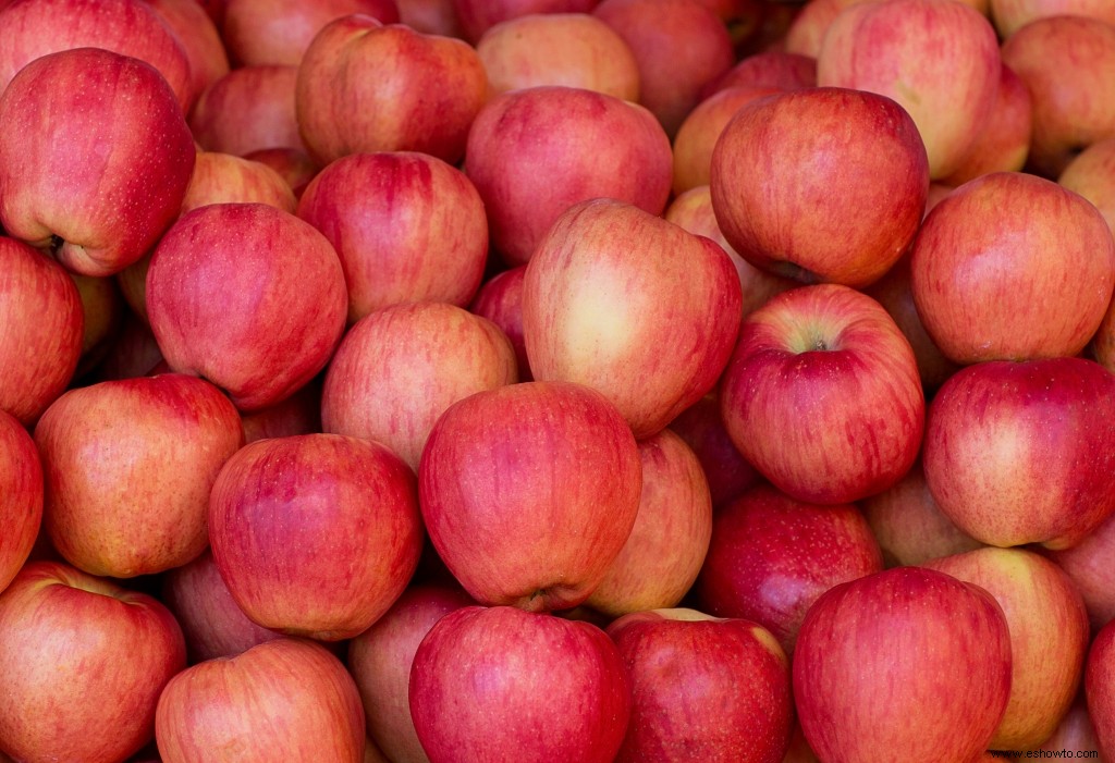 ¿Necesita energía? Estos 10 refrigerios te animarán de inmediato 