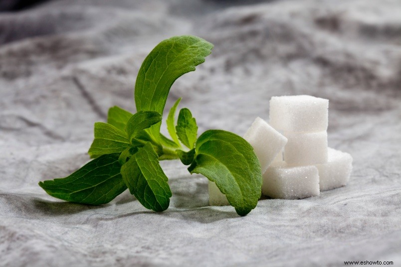 Este Endulzante Puede Reducir el Azúcar en la Sangre y Mejorar la Sensibilidad a la Insulina 