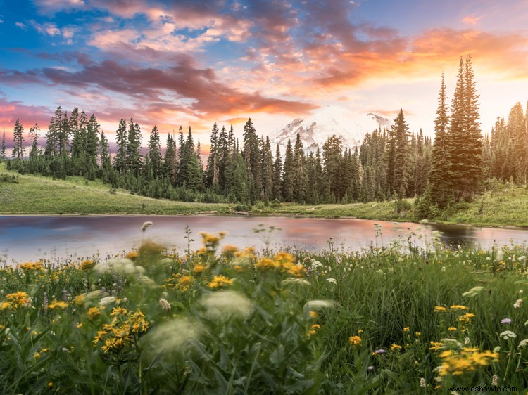 Mirar fotos de la naturaleza puede aumentar tu autoestima, según un estudio 