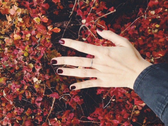 Cómo Obtener las Mejores Tendencias de Uñas de Otoño en Casa por Centavos 