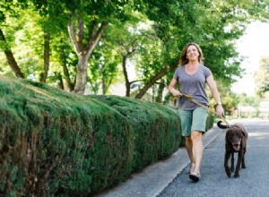 Los 10 mejores pantalones cortos para mujeres mayores de 50: estilos cómodos y favorecedores